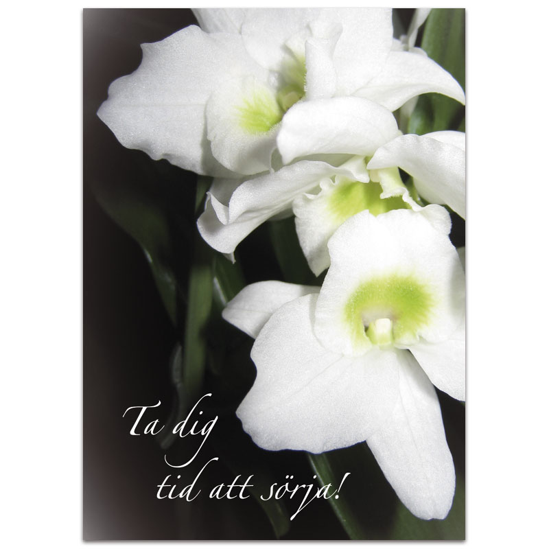 Ta dig tid att sörja Ta dig tid att sörja