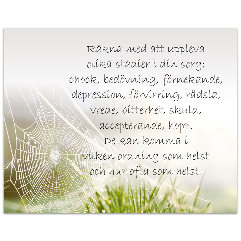 ba07 - Tröst ba07 - Tröst