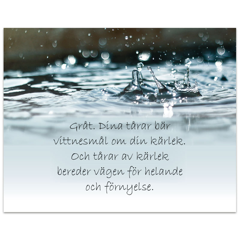 ba07 - Tröst ba07 - Tröst