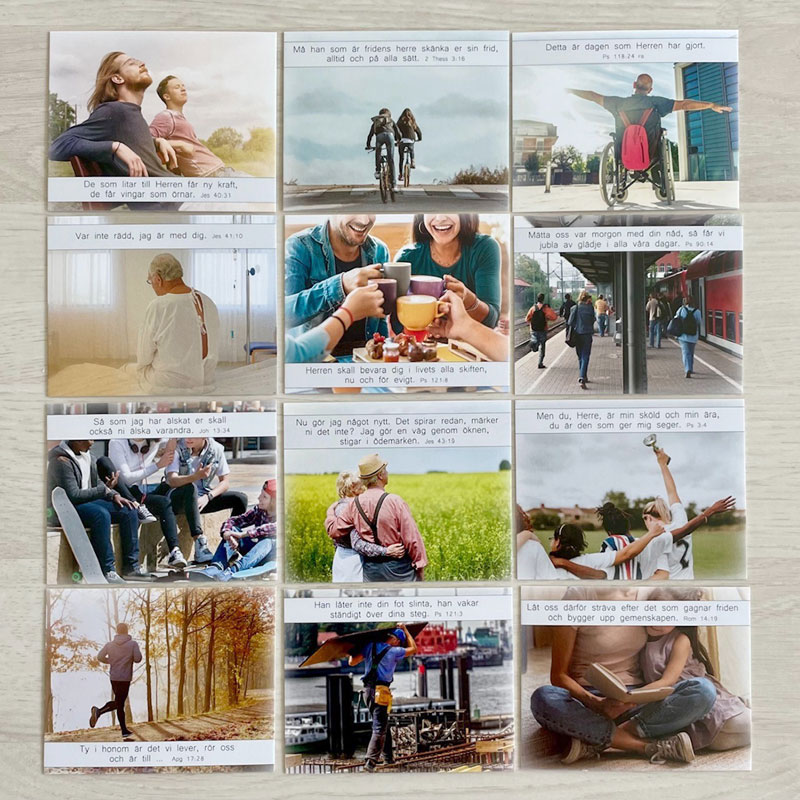 ba14 - Frid ba14 - Frid