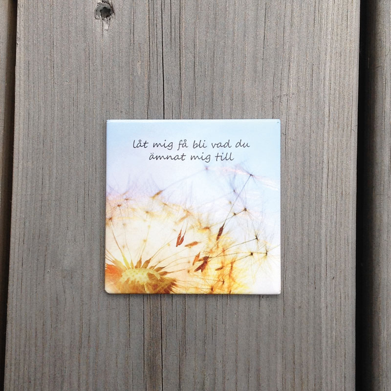 Magnet - bm09 Magnet - bm09