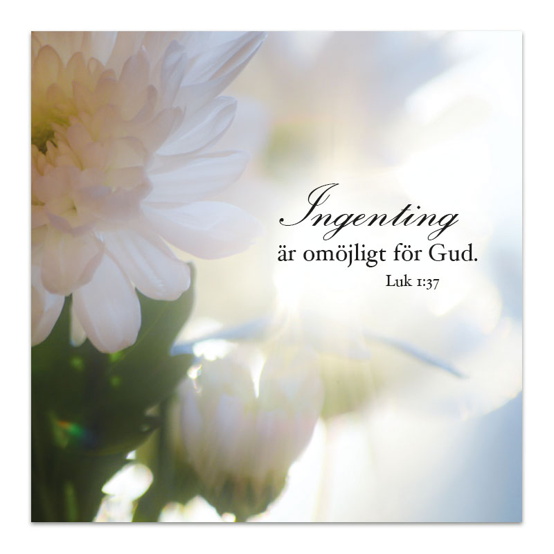 Magnet - bm22 Magnet - bm22