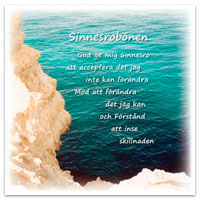 Dubbelt kort - Sinnesrobönen