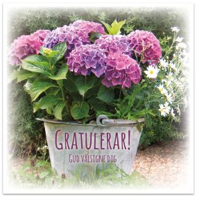 Dubbelt kort - BO1039