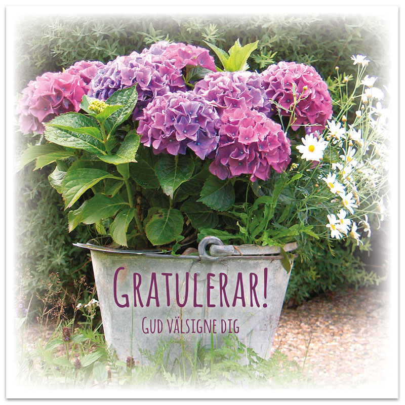 Dubbelt kort - BO1039 Dubbelt kort - BO1039