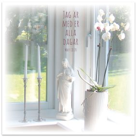 Dubbelt kort - BO1044