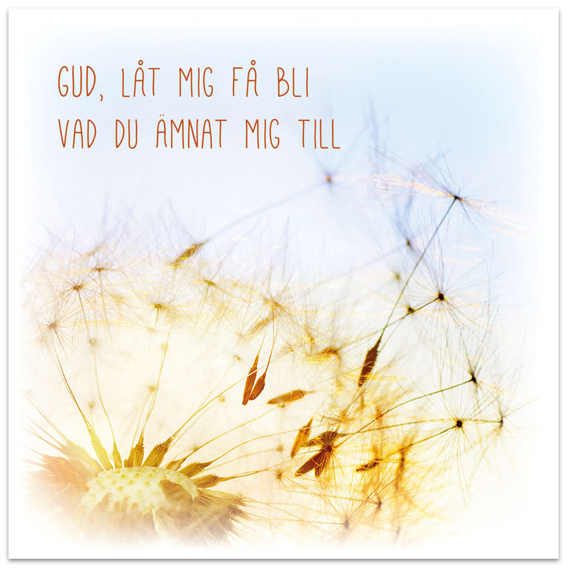 Dubbelt kort - BO1045 Dubbelt kort - BO1045