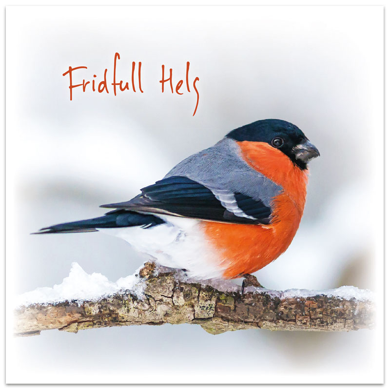 Dubbelt julkort - BO4007 Dubbelt julkort - BO4007