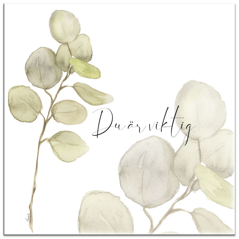 bp594 - Servetter bp594 - Servetter