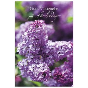 Dubbelt kort - ke14-1058