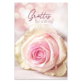 Dubbelt kort - ke40-0255