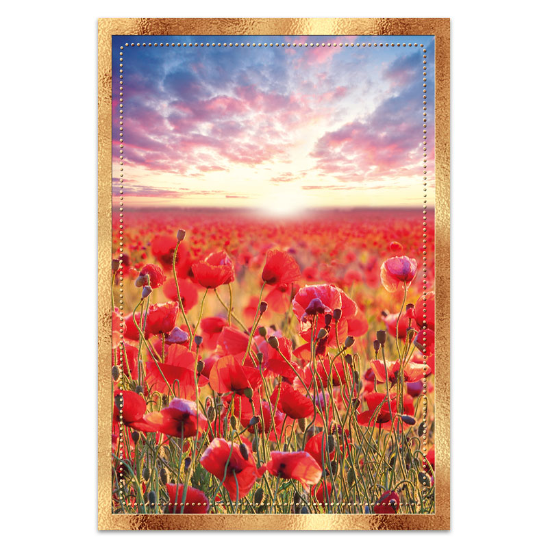 Dubbelt kort - ke49-1117 Dubbelt kort - ke49-1117