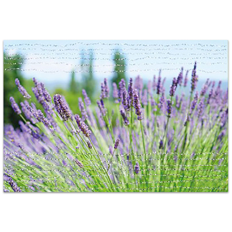 Dubbelt kort - ke49-1163 Dubbelt kort - ke49-1163