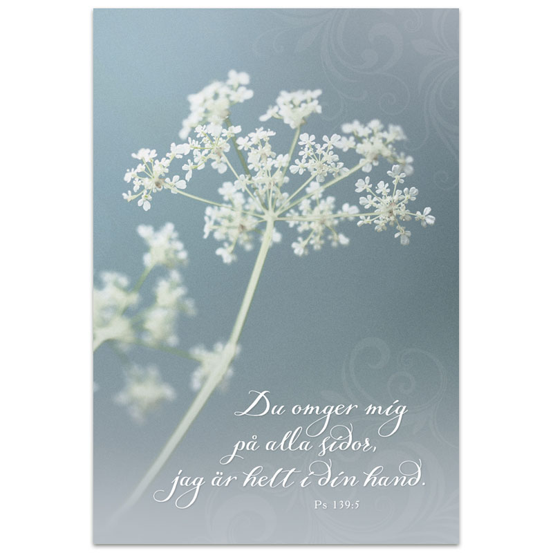 Dubbelt kort - ke81-1161