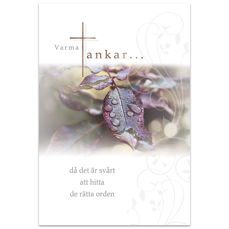 Dubbelt kort - ke81-1186 Dubbelt kort - ke81-1186