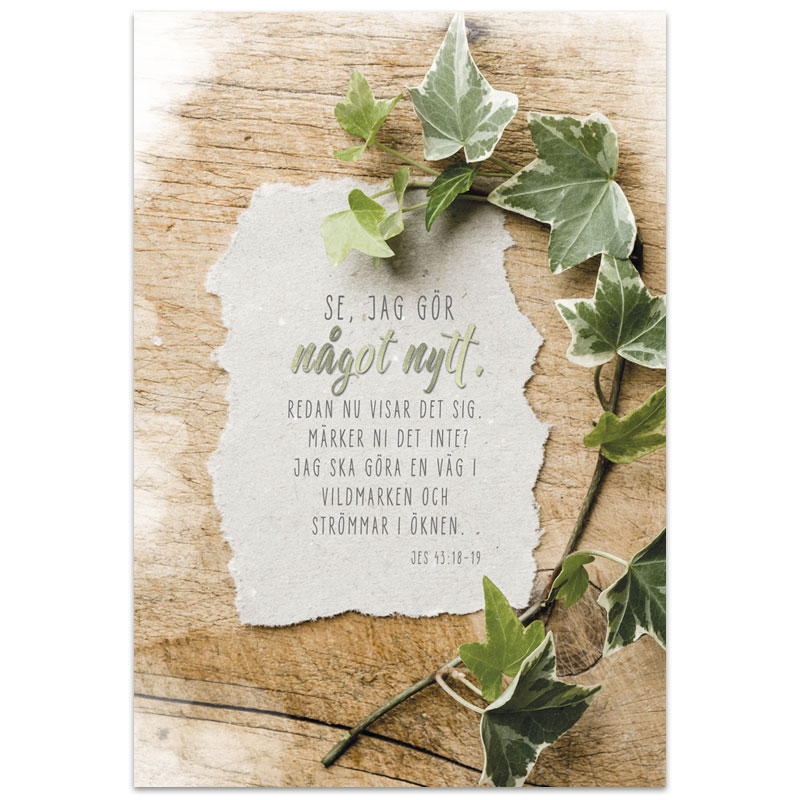 Dubbelt kort - ke81-1359