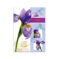 Dubbelt kort - Du är omsluten