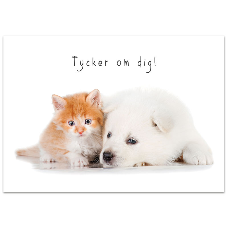 Vykort - VY775 Vykort - VY775